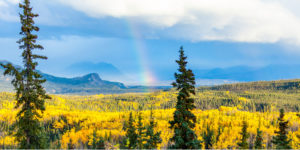 wilderness picture with rainbow