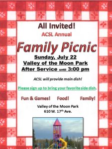 red and white checkered picnic flyer